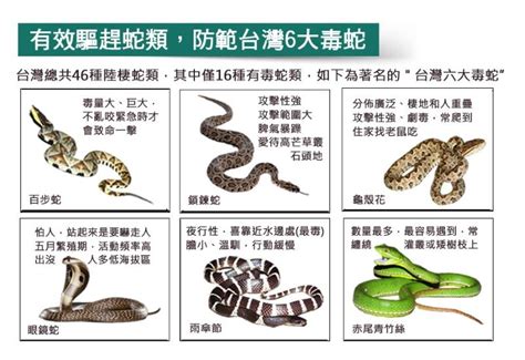 出國可以戴耳環嗎 香港5大毒蛇